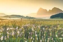足球实时比分捷报-足球实时比分捷报，绿茵场上的即时心跳与激情交响